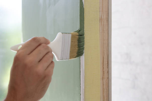 Best Basement Mold Removal  in Marshalltown, IA