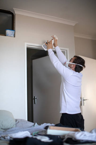 Best Black Mold Removal  in Marshalltown, IA