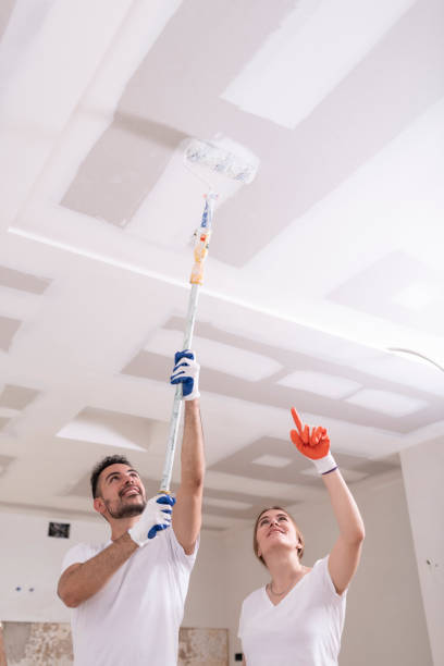 Reliable Marshalltown, IA Mold Removal Solutions