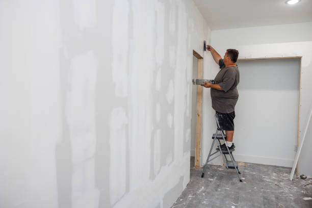 Best Water Damage & Mold Remediation  in Marshalltown, IA