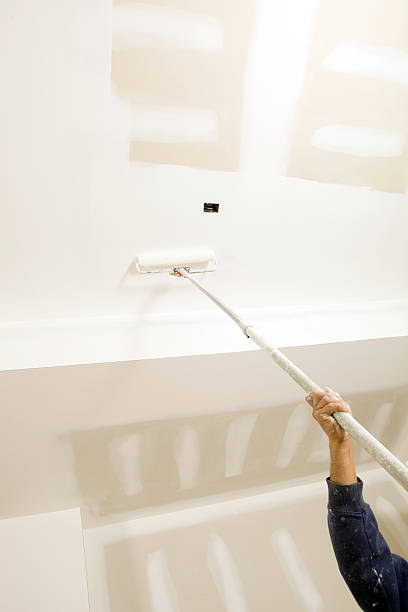 Best Emergency Mold Remediation  in Marshalltown, IA