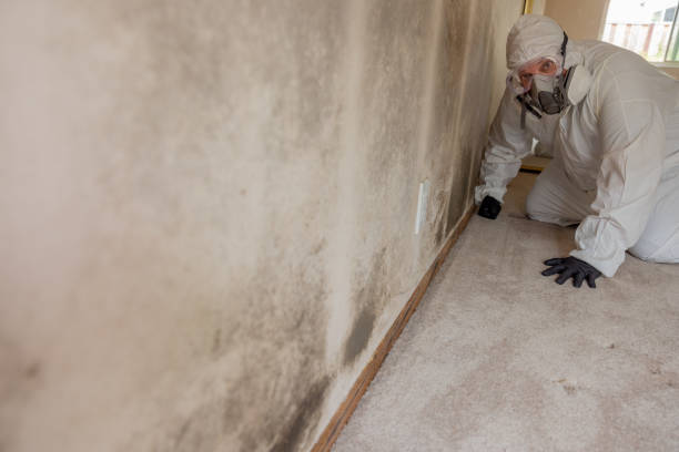 Best Post-Remediation Verification Testing  in Marshalltown, IA